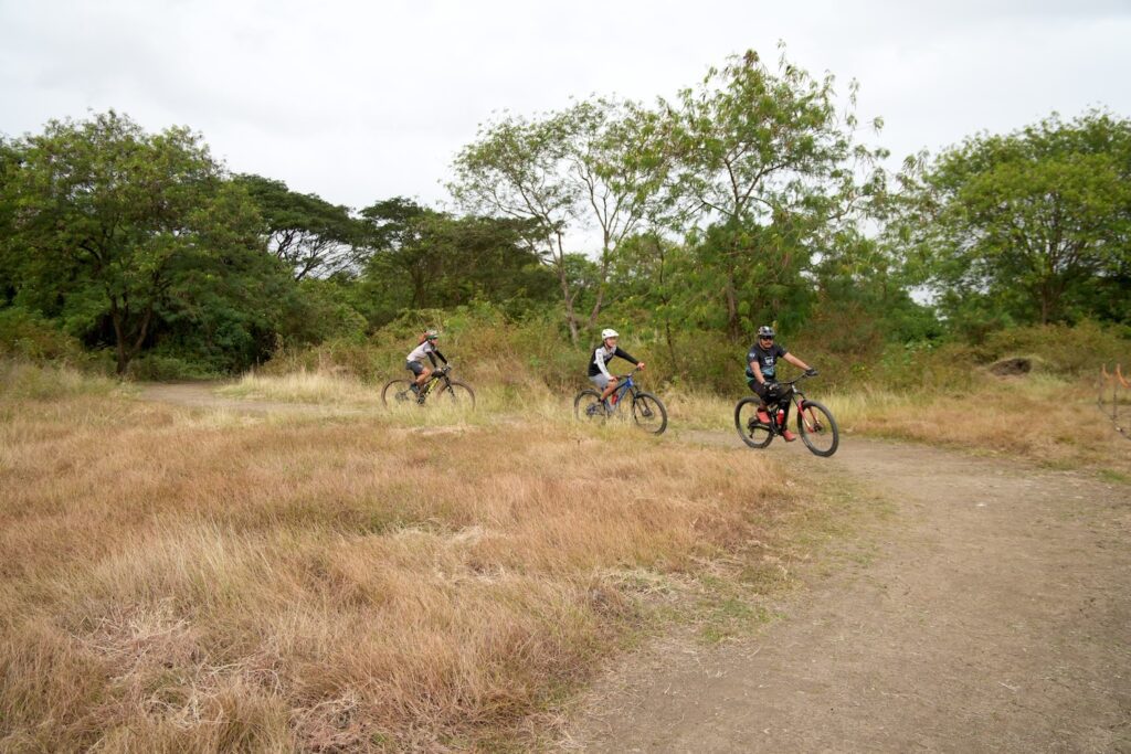 A glimpse of an open path of the Trails